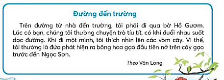 Viết trang 48, 49 Tiếng Việt lớp 3 Tập 1 | Chân trời sáng tạo