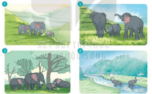 Đọc: Bầy voi rừng Trường Sơn lớp 3 | Tiếng Việt lớp 3 Kết nối tri thức