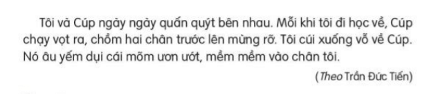 Đọc: Bạn nhỏ trong nhà | Tiếng Việt lớp 3 Kết nối tri thức