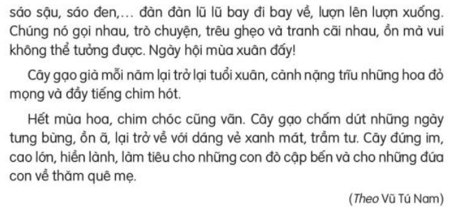 Đọc: Cây gạo trang 27, 28 Tiếng Việt lớp 3 Tập 2 | Kết nối tri thức