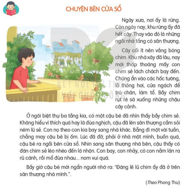 Đọc: Chuyện bên của sổ lớp 3 | Tiếng Việt lớp 3 Kết nối tri thức