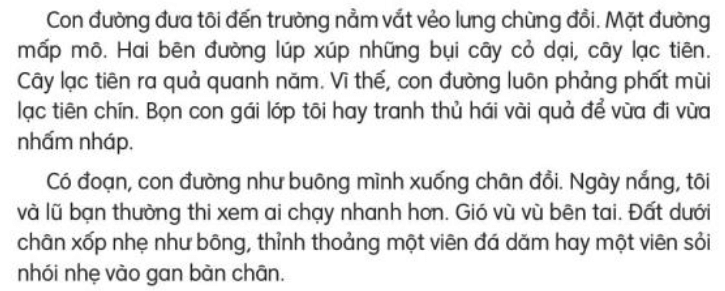 Đọc: Con đường đến trường lớp 3 | Tiếng Việt lớp 3 Kết nối tri thức