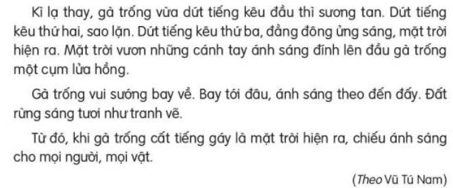 Đọc: Đi tìm mặt trời lớp 3 | Tiếng Việt lớp 3 Kết nối tri thức