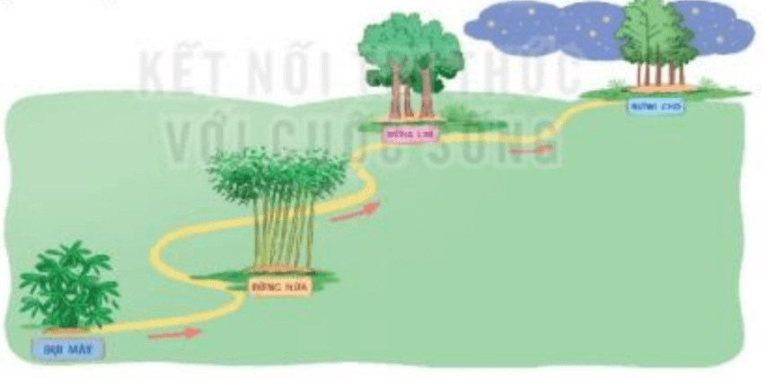 Đọc: Đi tìm mặt trời trang 116, 117 