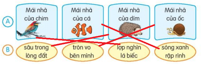 Đọc: Một mái nhà chung lớp 3 | Tiếng Việt lớp 3 Kết nối tri thức