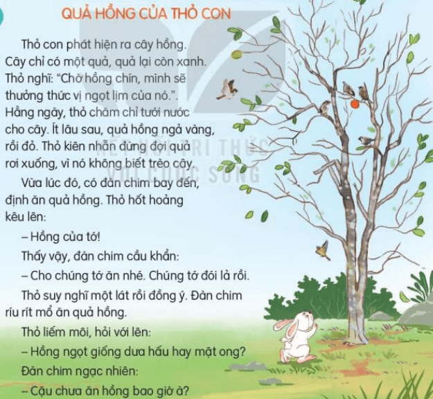 Đọc: Quả hồng của thỏ con lớp 3 | Tiếng Việt lớp 3 Kết nối tri thức