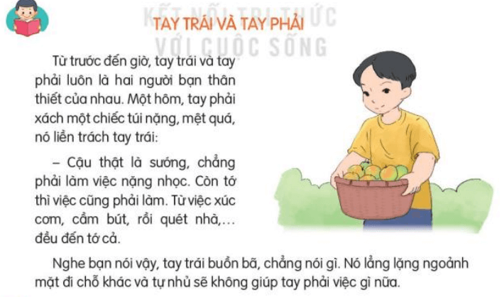 Đọc: Tay trái và tay phải lớp 3 | Tiếng Việt lớp 3 Kết nối tri thức