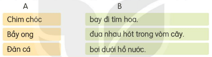 Luyện tập trang 14, 15, 16 Tiếng Việt lớp 3 Tập 1 | Kết nối tri thức