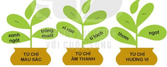 Luyện tập trang 49, 50 Tiếng Việt lớp 3 Tập 1 | Kết nối tri thức