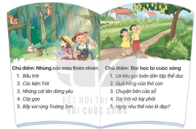 Tiết 1, 2 trang 71, 72 Tiếng Việt lớp 3 Tập 2 | Kết nối tri thức