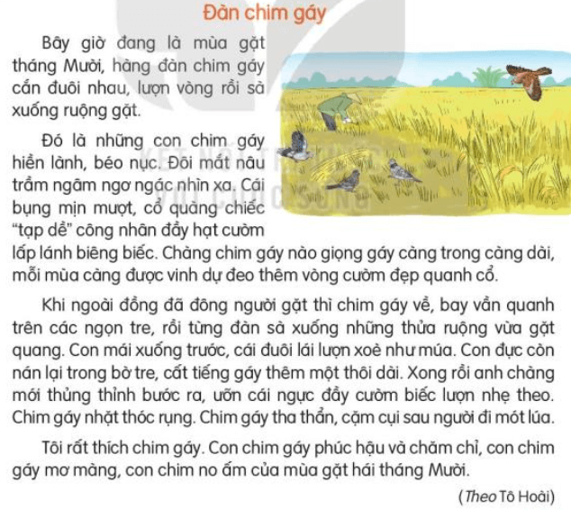 Tiết 3, 4 trang 136, 137 Tiếng Việt lớp 3 Tập 2 | Kết nối tri thức