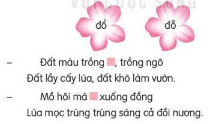 Viết trang 122, 123 Tiếng Việt lớp 3 Tập 1 Kết nối tri thức