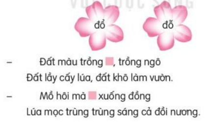 Viết trang 125, 126 Tiếng Việt lớp 3 Tập 1 | Kết nối tri thức