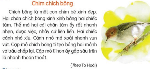 Viết trang 26 Tiếng Việt lớp 3 Tập 2 Kết nối tri thức