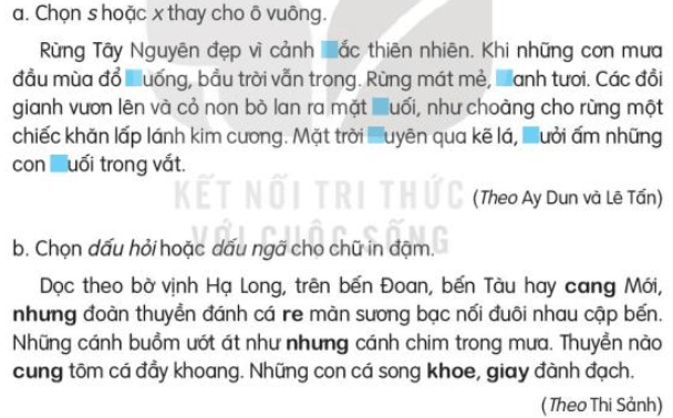 Viết trang 97 Tiếng Việt lớp 3 Tập 2 Kết nối tri thức