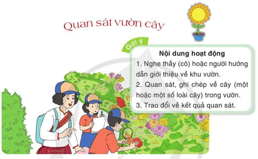 Quan sát vườn cây trang 47 lớp 4 | Cánh diều Giải Tiếng Việt lớp 4