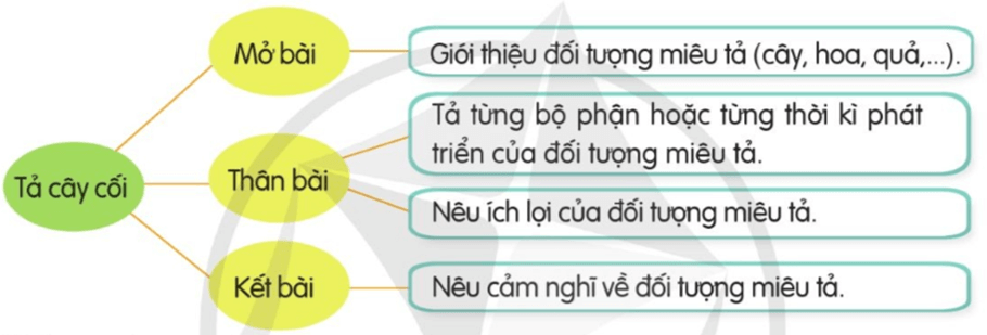 Tả cây cối trang 35, 36, 37 lớp 4 | Cánh diều Giải Tiếng Việt lớp 4