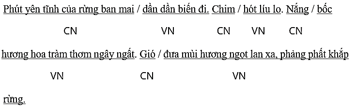 Luyện từ và câu lớp 4 trang 48, 49 (Luyện tập về thành phần chính của câu) | Chân trời sáng tạo Giải Tiếng Việt lớp 4
