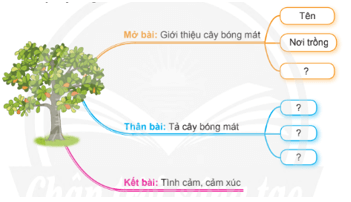 Bài 3: Xôn xao mùa hè Tiếng Việt lớp 4 Chân trời sáng tạo