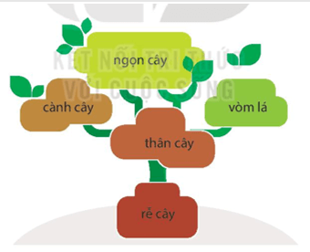 Bài 17: Cây đa quê hương Tiếng Việt lớp 4 Kết nối tri thức