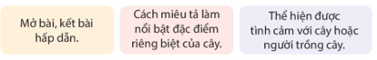 Bài 24: Quê ngoại Tiếng Việt lớp 4 Kết nối tri thức