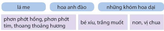 Bài 27: Nếu em có một khu vườn Tiếng Việt lớp 4 Kết nối tri thức