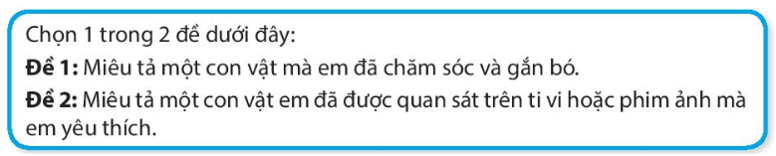 Bài 28: Bốn mùa mơ ước Tiếng Việt lớp 4 Kết nối tri thức