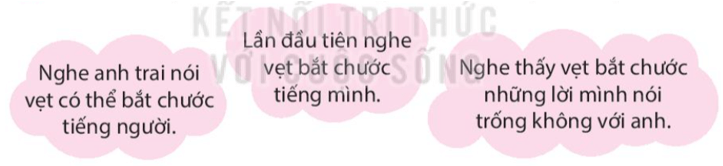 Con vẹt xanh lớp 4 (trang 55, 56) | Kết nối tri thức Giải Tiếng Việt lớp 4