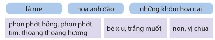 Nếu em có một khu vườn lớp 4 (trang 118, 119) | Kết nối tri thức Giải Tiếng Việt lớp 4