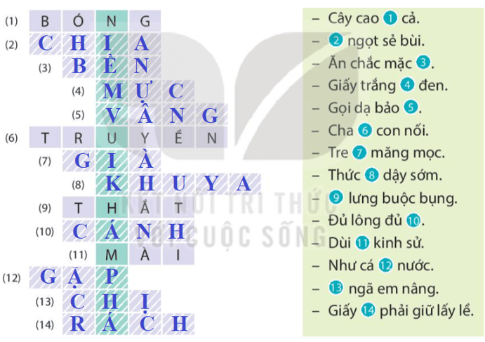 Phần 1: Ôn tập Tiếng Việt lớp 4 Kết nối tri thức