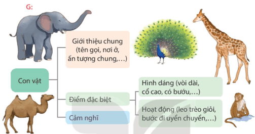 Phần 1: Ôn tập Tiếng Việt lớp 4 Kết nối tri thức