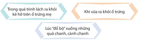 Phần 1: Ôn tập Tiếng Việt lớp 4 Kết nối tri thức