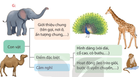 Tiết 5 trang 142 lớp 4 | Kết nối tri thức Giải Tiếng Việt lớp 4
