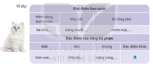Quan sát con vật trang 116, 117 lớp 4 | Kết nối tri thức Giải Tiếng Việt lớp 4