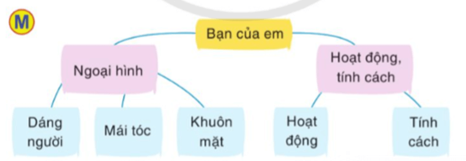 Luyện tập tả người (Tìm ý, lập dàn ý) trang 38 lớp 5 | Cánh diều Giải Tiếng Việt lớp 5