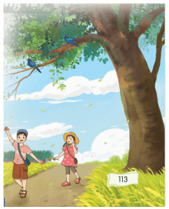 Hãy lắng nghe lớp 5 (trang 113, 114) | Chân trời sáng tạo Giải Tiếng Việt lớp 5