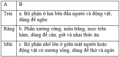 Soạn Tiếng Việt lớp 5 | Để học tốt Tiếng Việt lớp 5