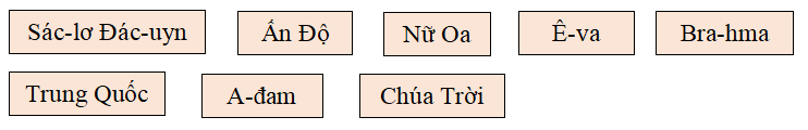 Bài tập trắc nghiệm Chính tả: Ai là thủy tổ của loài người; Lịch sử ngày Quốc tế lao động; Cửa sông lớp 5 có đáp án