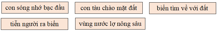 Bài tập trắc nghiệm Chính tả: Ai là thủy tổ của loài người; Lịch sử ngày Quốc tế lao động; Cửa sông lớp 5 có đáp án