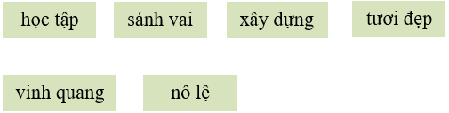 Bài tập trắc nghiệm Lương Ngọc Quyến; Thư gửi các học sinh lớp 5 có đáp án