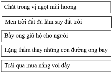 Bài tập trắc nghiệm Chính tả: Mùa thảo quả; Hành trình của bầy ong lớp 5 có đáp án