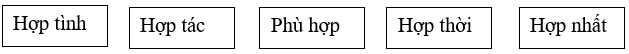 Bài tập trắc nghiệm Mở rộng vốn từ: hòa bình và hữu nghị - hợp tác lớp 5 có đáp án