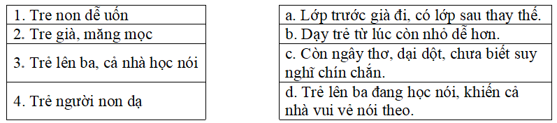 Bài tập trắc nghiệm Mở rộng vốn từ: trẻ em - quyền và bổn phận lớp 5 có đáp án