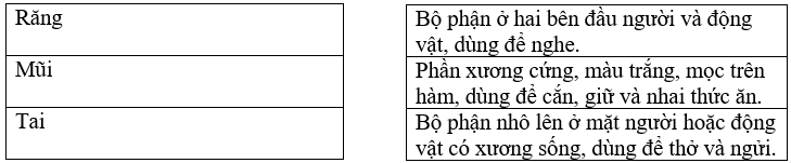 Bài tập trắc nghiệm Từ nhiều nghĩa lớp 5 có đáp án