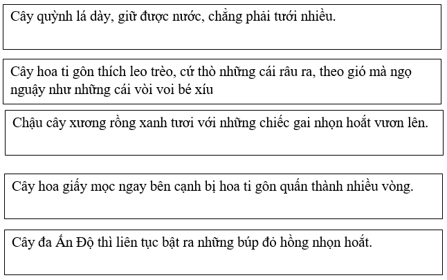 Bài tập trắc nghiệm Chuyện một khu vườn nhỏ lớp 5 có đáp án