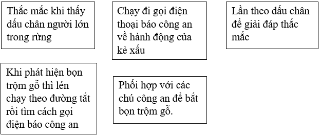 Bài tập trắc nghiệm Người gác rừng tí hon lớp 5 có đáp án