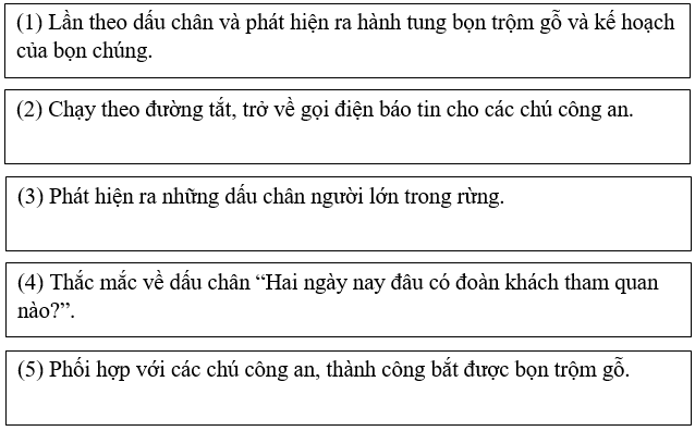 Bài tập trắc nghiệm Người gác rừng tí hon lớp 5 có đáp án