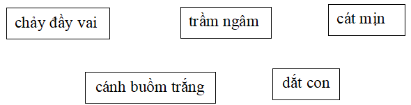 Bài tập trắc nghiệm Những cánh buồm lớp 5 có đáp án