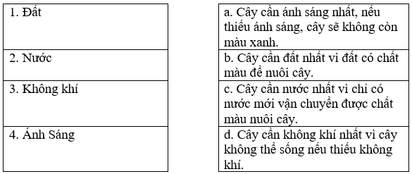 Bài tập trắc nghiệm Luyện tập thuyết trình, tranh luận lớp 5 có đáp án