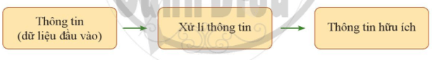 Lý thuyết Tin học 10 Cánh diều Bài 1: Dữ liệu, thông tin và xử lí thông tin (ảnh 2)